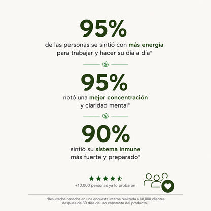 Complejo de Hongos Funcionales para Más Enfoque y Energía