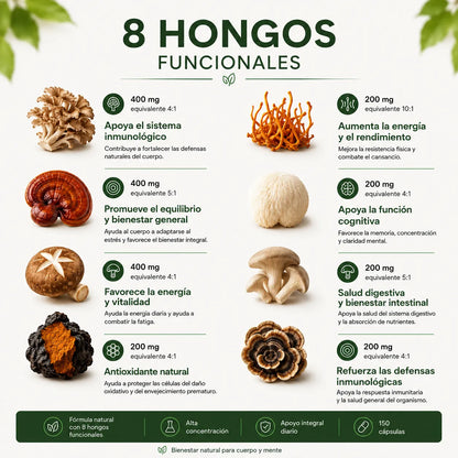 Complejo de Hongos Funcionales para Más Enfoque y Energía